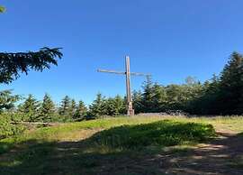 Flat in Olsberg Near the ski Area