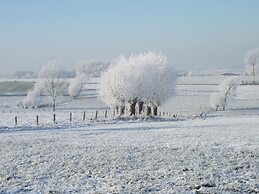 Comfortable Home With Sauna