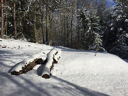 Chalet Near Bitche With Private Sauna