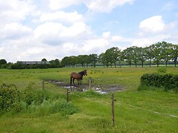 Holiday Home with Meadow View near Forests