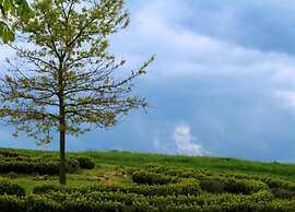 Holiday Home in Altenfeld With Private Pool