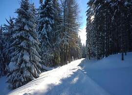 Holiday Home in Altenfeld With Private Pool