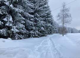 Holiday Home in Altenfeld With Private Pool