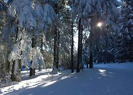 Holiday Home in Altenfeld With Private Pool