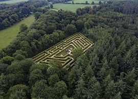 Stylish Stay in Vorden Woods