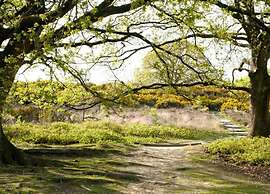 Stylish Stay in Vorden Woods