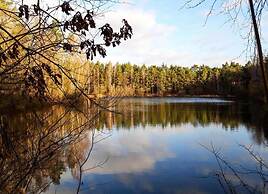 Stylish Stay in Vorden Woods