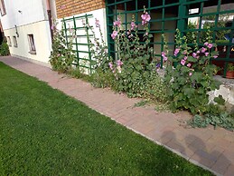 Wohnung in Alt Bukow mit Garten