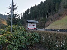 Pretty Apartment in Oppenau near Black Forest National Park