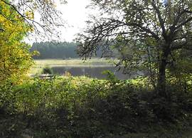 Wohnung in Nahe Harzwald