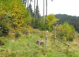 Wohnung in Nahe Harzwald