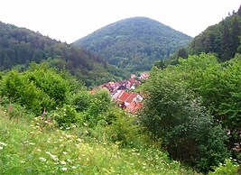 Spacious Holiday Home in Zorge Near the Forest