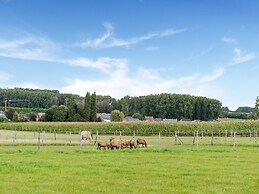 Holiday Home in Oombergen With Terrace and Garden