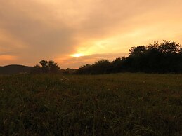 Wonderful Apartment With Barrel Sauna