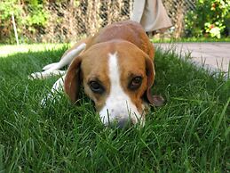 Wonderful Apartment With Barrel Sauna