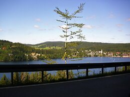 Apartment mit Bergblick in Bernau-innerlehen