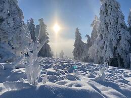 Detached Holiday Home in Sauerland near Winterberg with Terrace & Gard