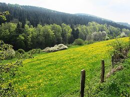 Chic Holiday Home in Medebach Germany near Ski Area