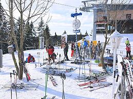 Cozy House with Terrace & Fireplace near Winterberg