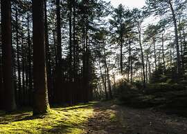Apartment With Sauna in Thuringia
