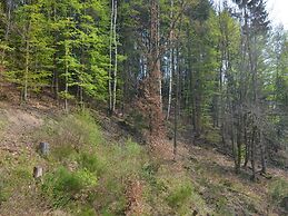 Lovely Group House near Winterberg with Private Sauna, Garden, & Terra