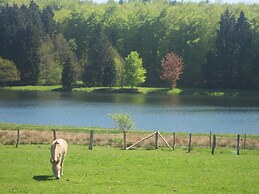 Holiday Home in Bastogne With Garden