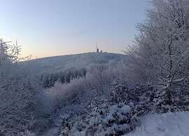 Meadow View Cottage in Winterstein Thuringia near Ski Area