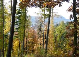 Meadow View Cottage in Winterstein Thuringia near Ski Area