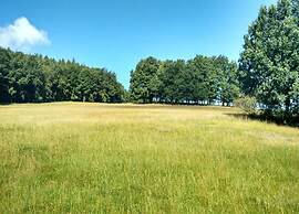 Meadow View Cottage in Winterstein Thuringia near Ski Area