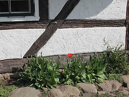 Apartmen in Reddelich for 4 Person