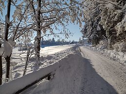 Holiday Home With Sauna in Allgau