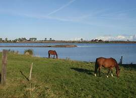 Bungalow mit Terrasse auf der Insel Poel