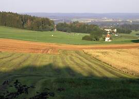 Spacious Apartment near Forest in Bad Dürrheim