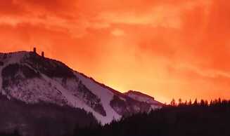 Garden Apartment, Gobweinstein