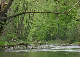 Furnished Bungalow With Peaceful Neighbourhood