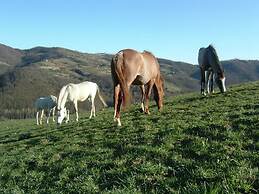 Belvilla by OYO Farmhouse With Stables, Horses