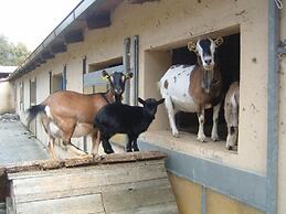 Belvilla by OYO Farmhouse With Stables, Horses