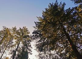 Cosy Chalet w/ Garden Patio