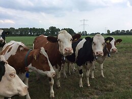 Cozy Holiday Home in Volkel With Sauna