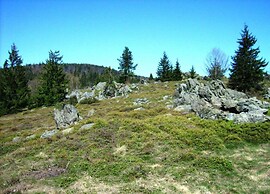 Apartment in Eslarn With Nearby Lake