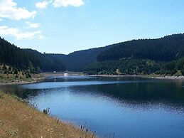 Apartment With Forest in Goldisthal Thuringia