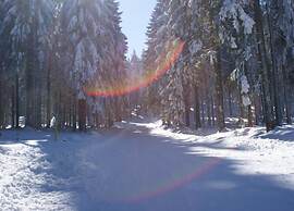 Apartment With Forest in Goldisthal Thuringia