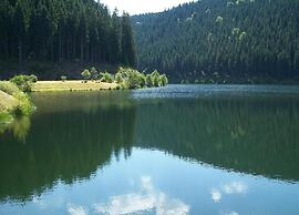 Apartment With Forest in Goldisthal Thuringia