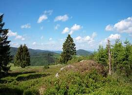 Holiday Home in Medebach With Balcony