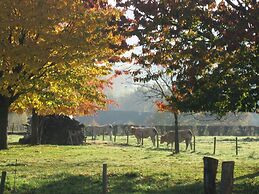 Holiday Home in Epen With Fenced Garden