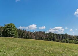 Comfortable Apartment in the Black Forest