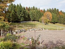 Comfortable Apartment in the Black Forest