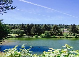 Comfortable Apartment in the Black Forest