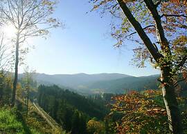 Comfortable Apartment in the Black Forest