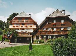 Comfortable Apartment in the Black Forest